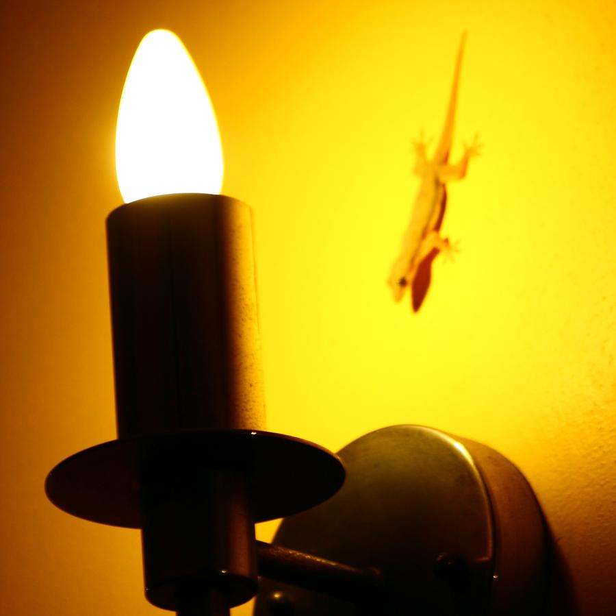 longshot20260323214112